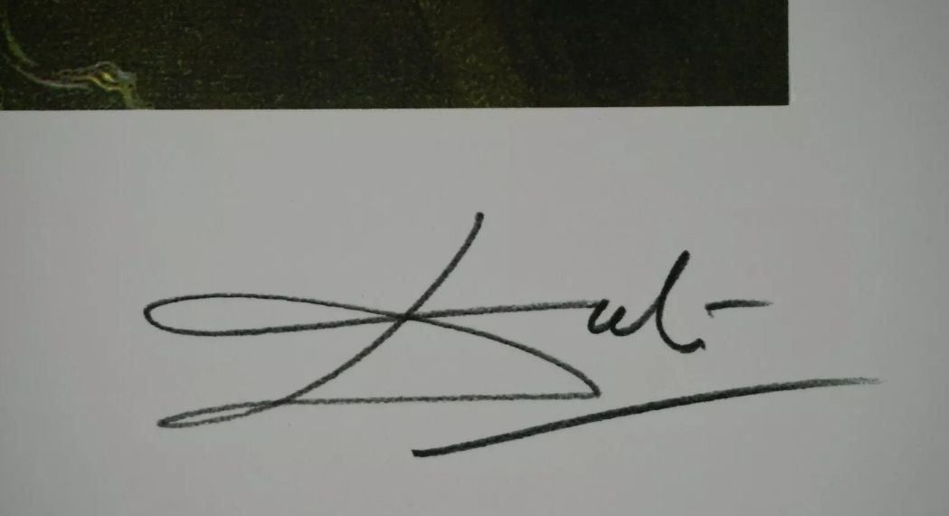 Foto & Immagini: Salvador Dali Lithographie – Nuovo (secondo la descrizione) da Bern venduto da artBoutiquech 3