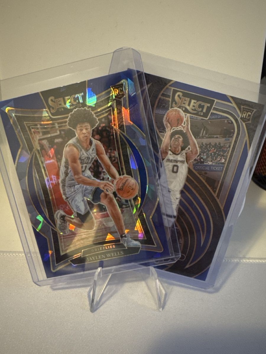 Nba Carte collezionabili:  Jaylen Wells Select Rookie Lot – Usato da Dulliken venduto da alpi.cards