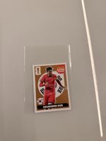 Panini Extra Sticker Bronze Heungmin Son