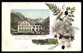 AK Meglisalp /AI, Gasthaus z. Meglisalp, Bergpanorama