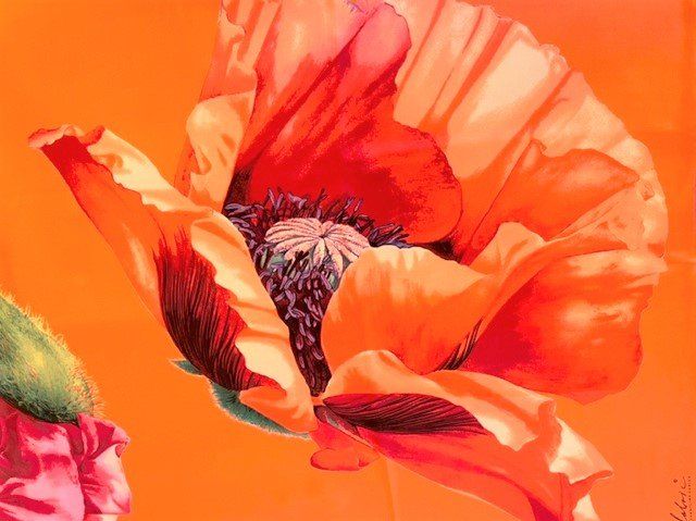 Fabric Frontline Foulards, Tücher & Schals: Schal Fabric Frontline – Neu (gemäss Beschreibung) aus Zürich von Poppy108 4