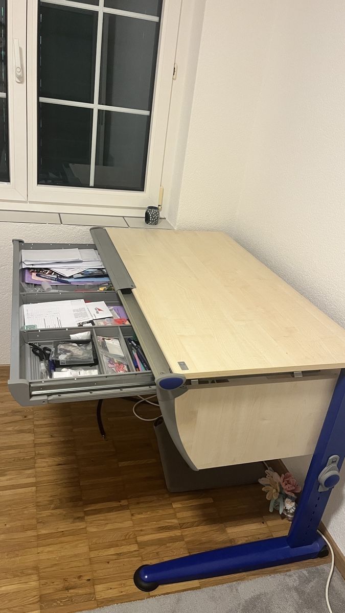 Moll Scrivanie:     Moll-Schreibtisch, gut erhalten – Usato da Hagenbuch ZH venduto da xiaoniu 3