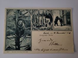 Alte  Litho Ansichtskarte Zoo Basel, Gruss aus 1899,  r17