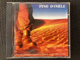 CD, Pino Daniele, Non calpestare i fiori nel deserto