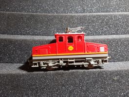 LIMA SHELL REF.2