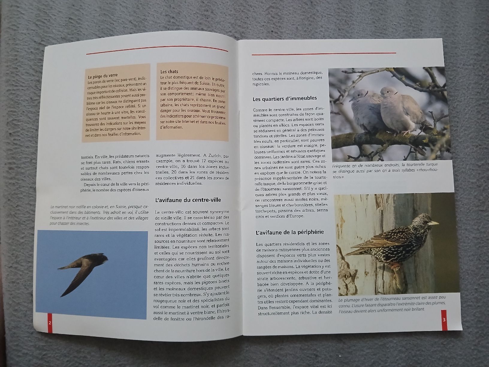 Libri: Livre "Oiseaux de nos jardins" – Usato da Le Sentier venduto da arc_2thy 2