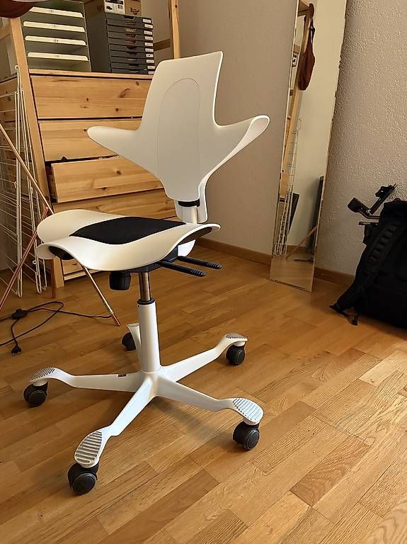 Sedie: Haag Capisco ergonomischer Bürostuhl – Usato da Bern venduto da Baumwall 2