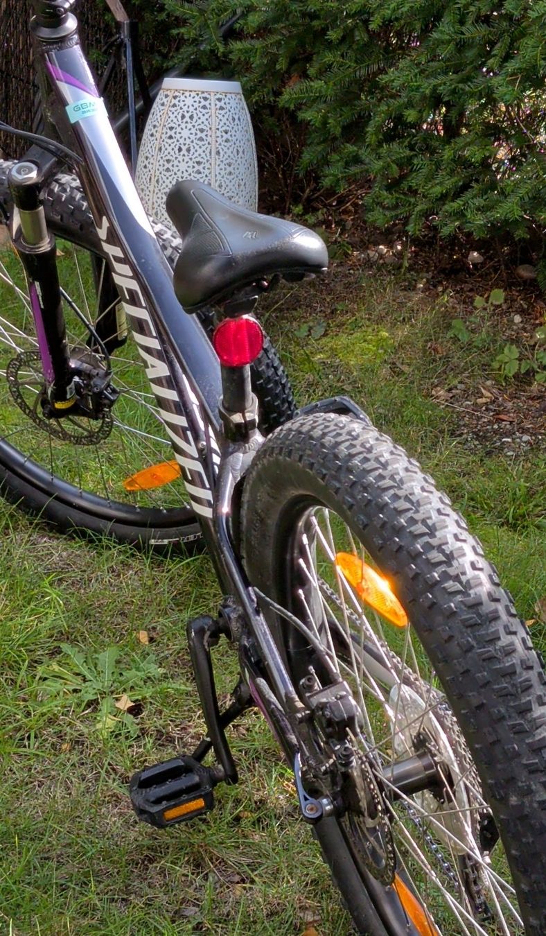 Specialized Biciclette: Specialized Mountain Bike – Usato da Zürich venduto da bacala 2
