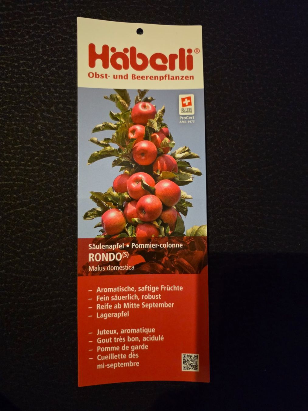 Plantes & graines: Säulenapfelbaum Rondo – D'occasion à Herisau par skorpion271081 3