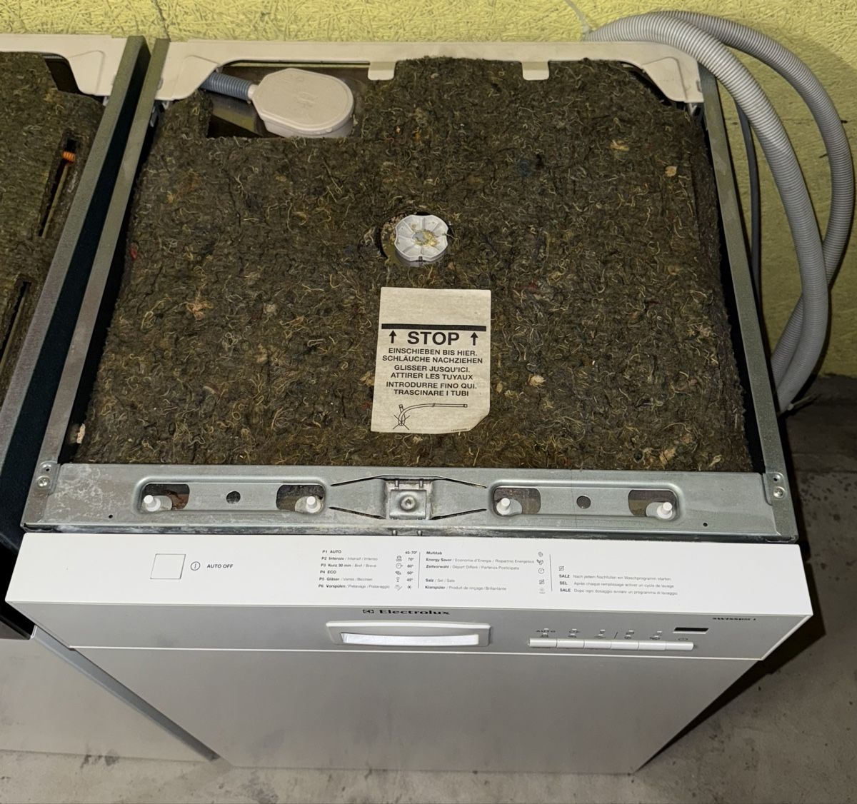 Electrolux Lavastoviglie: Electrolux Geschirrspüler 55Cm A+++ CH Norm – Usato da Kilchberg ZH venduto da Rei_9 1