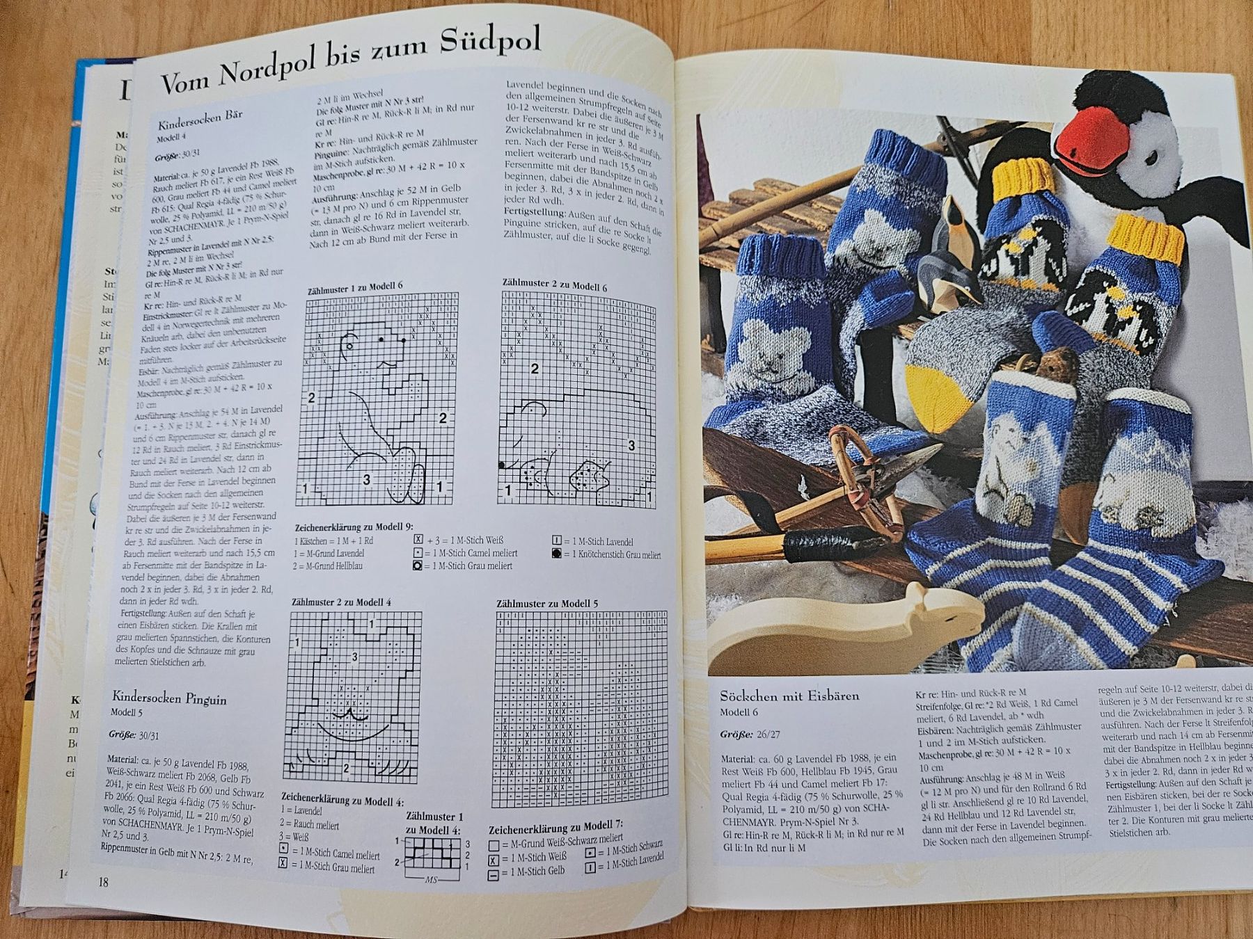 Libri: Strickbuch Super -Socken – Usato da Trimbach venduto da Isis5 2