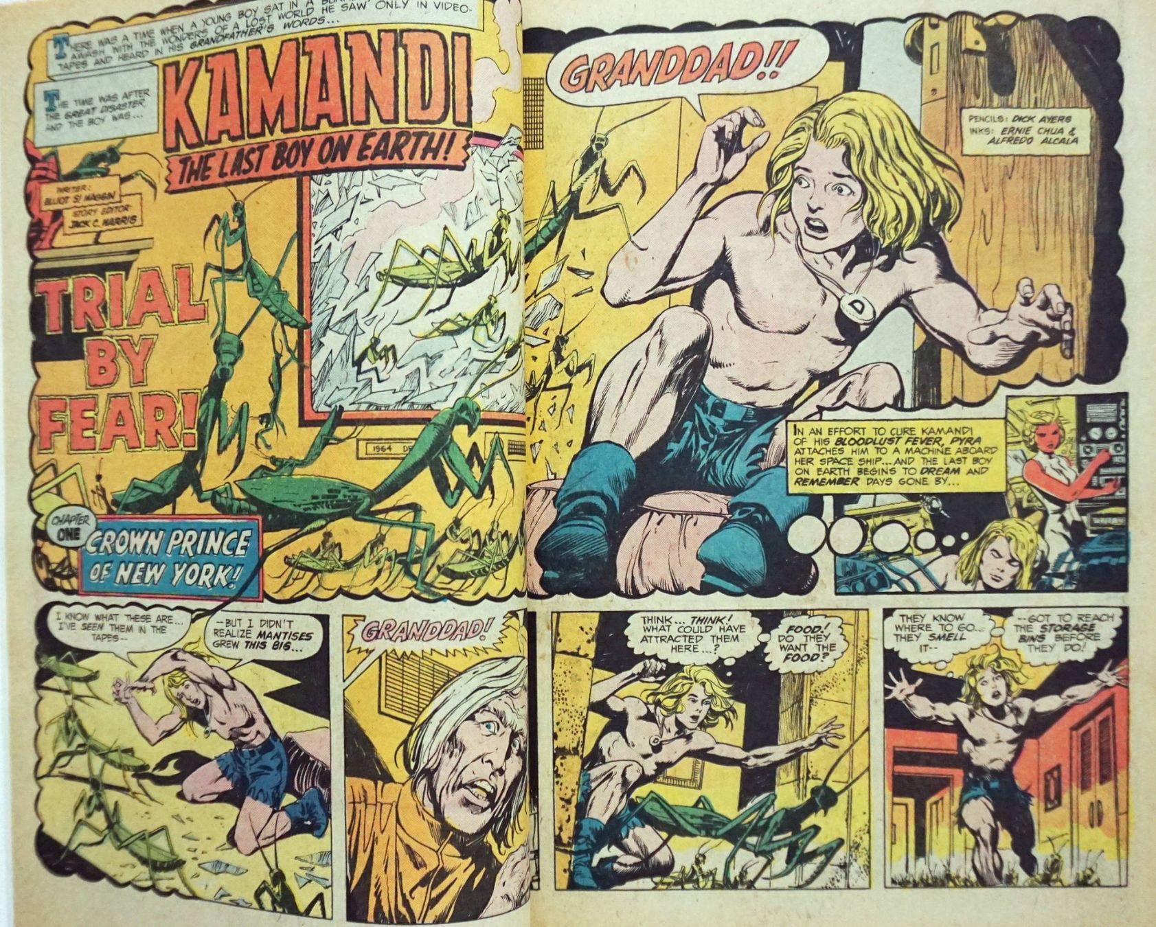 Fumetti: KAMANDI #49 TRIAL BY FEAR DC COMICS 1977 – Usato da Lugano venduto da YouWantUS 1