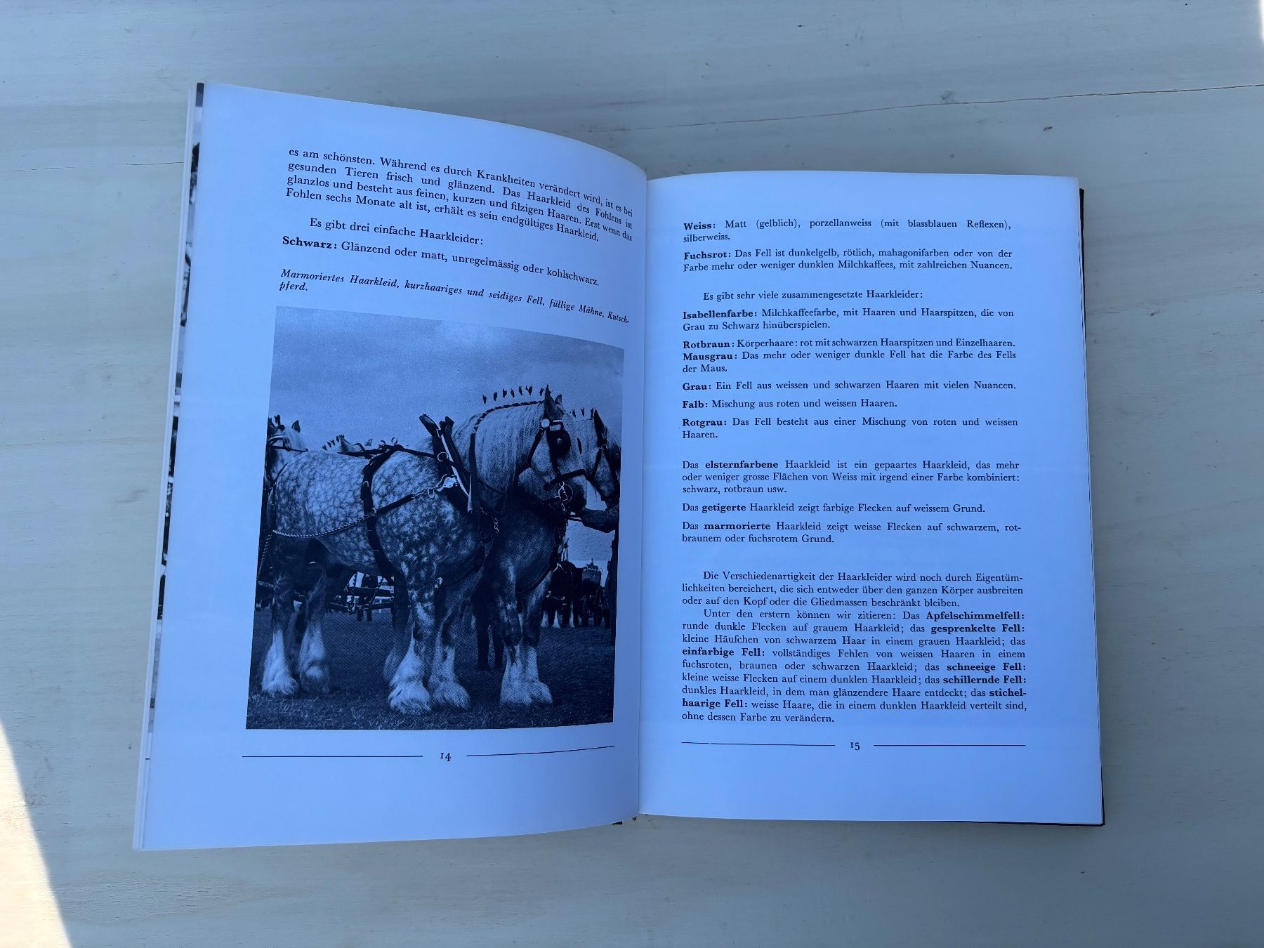 Kutschen: Buch Das Pferd – Gebraucht aus Feldbach von Fea1 8