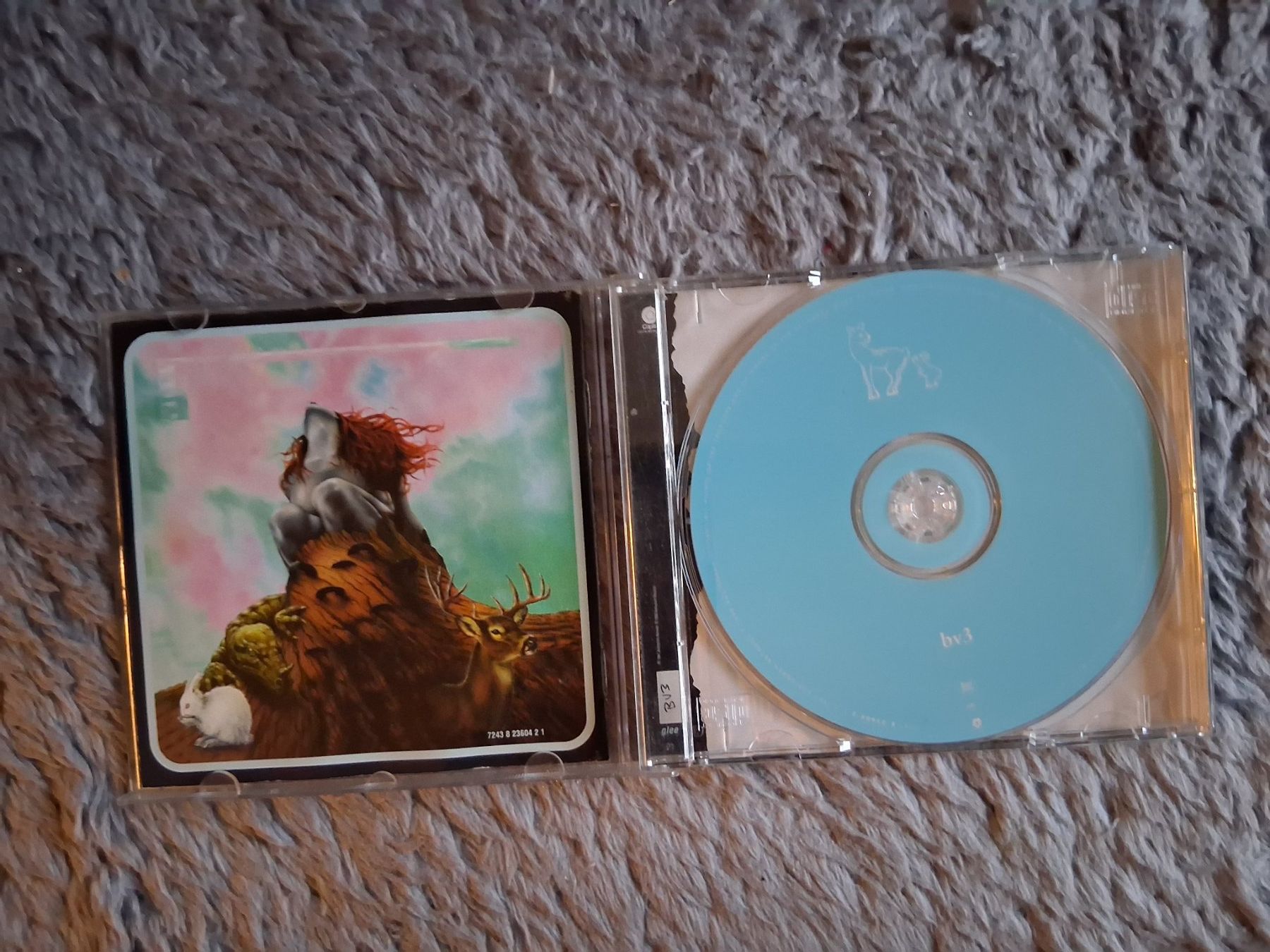 CDs: BRAN VAN 3000    CD – Gebraucht aus Wetzikon ZH von Ramones01 2