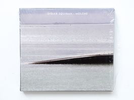 Didier Squiban - Molène