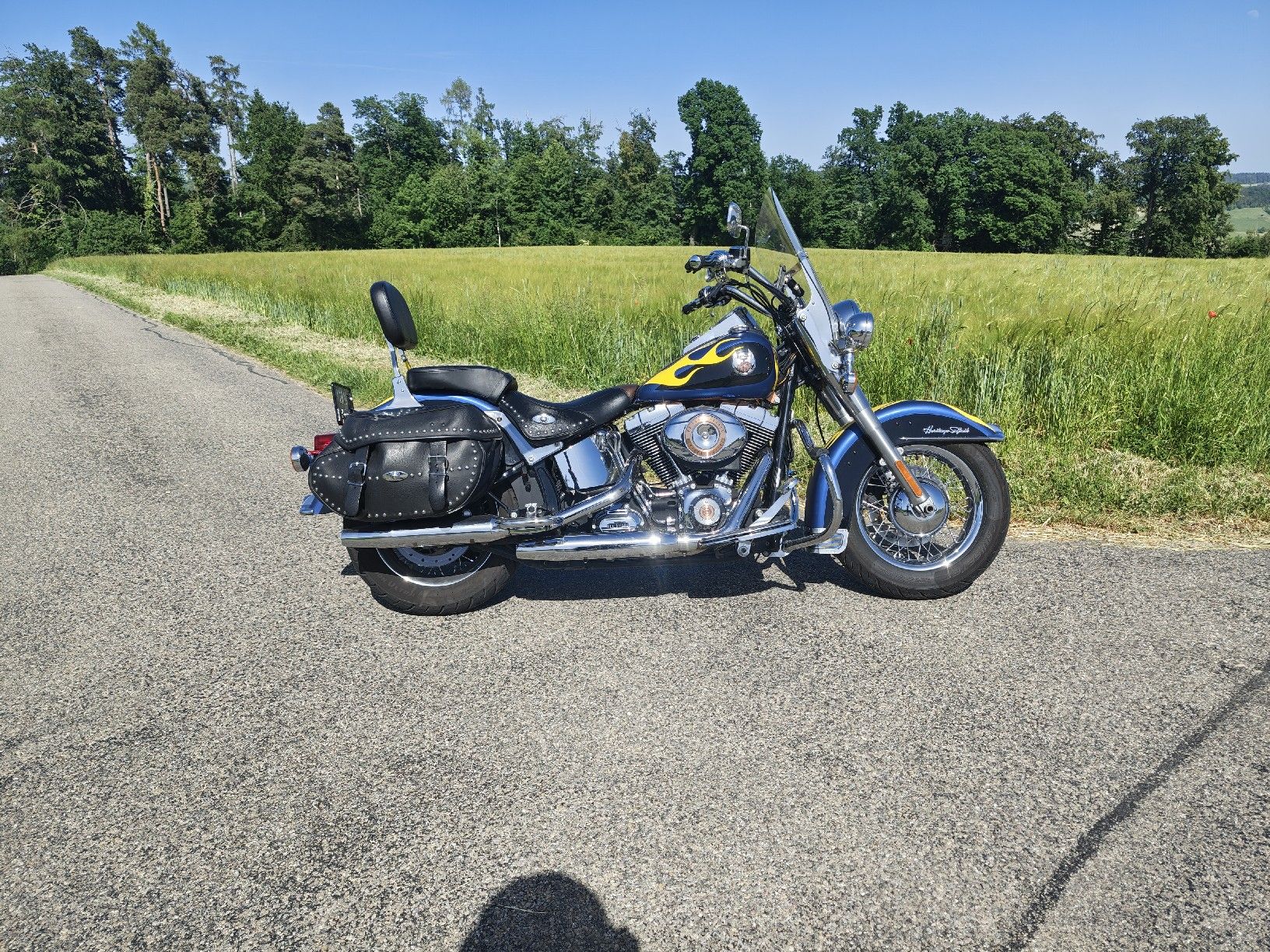 Harley-Davidson Chopper: Harley Davidson Softail classic, frisch ab service. – Gebraucht aus Lufingen von DannyT01 1