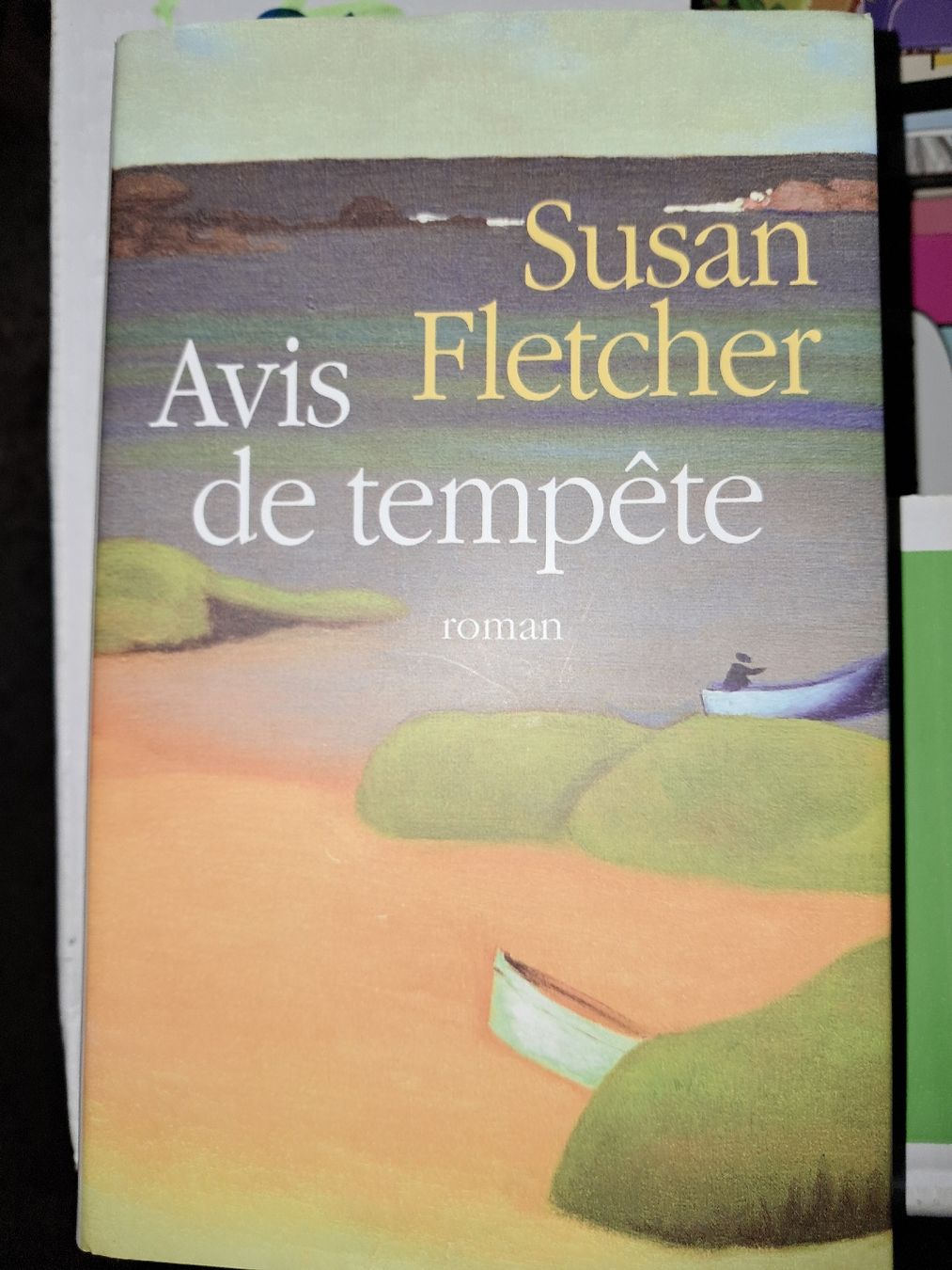 Libri: Livre avis de tempete – Usato da Le locle venduto da juliensaran
