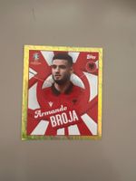 Topps Euro 2024 Germany Seltene Gold Karte Armando Broja ALB
