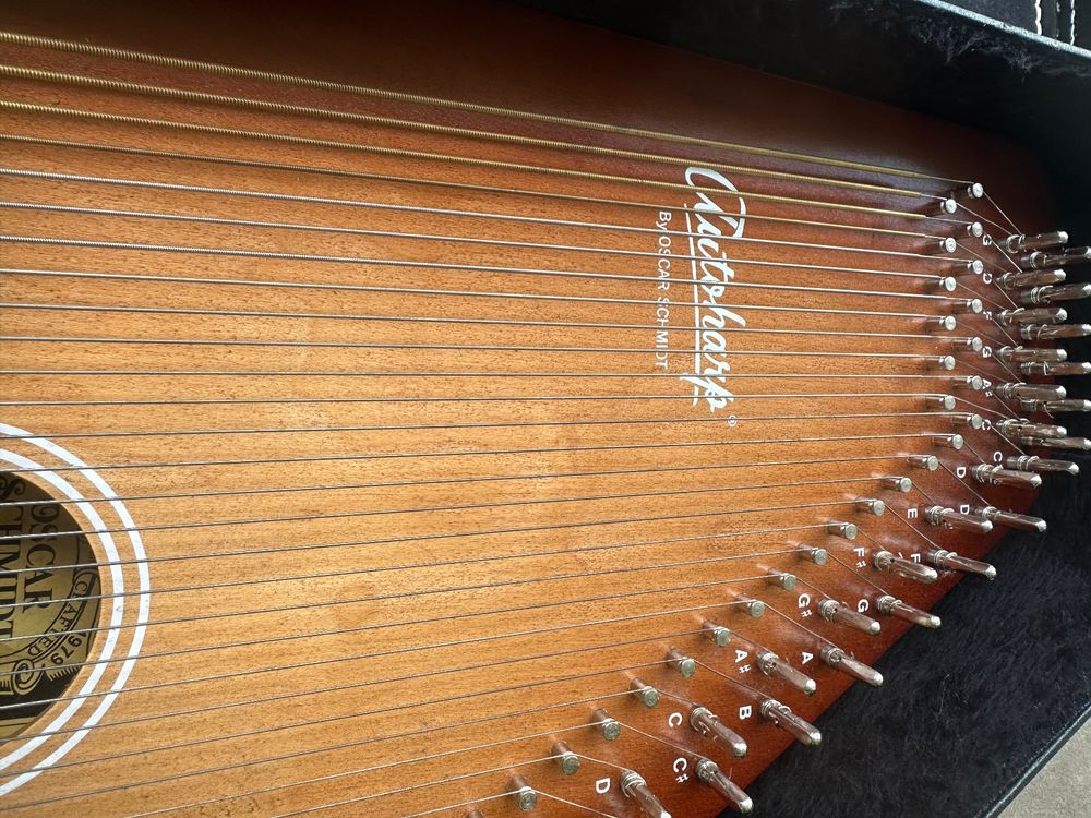 Autoharp Oscar Schmidt OS21C Kaufen auf Ricardo