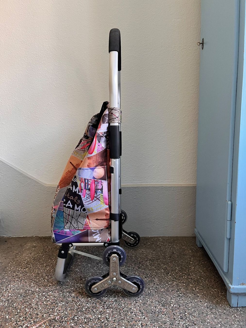 Altro per la casa: bunter Einkaufstrolley ab 1.- – Nuovo (secondo la descrizione) da Biel/Bienne venduto da Tester0