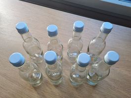 10x Glas Flaschen 2.5 dl mit Drehverschluss Deckel