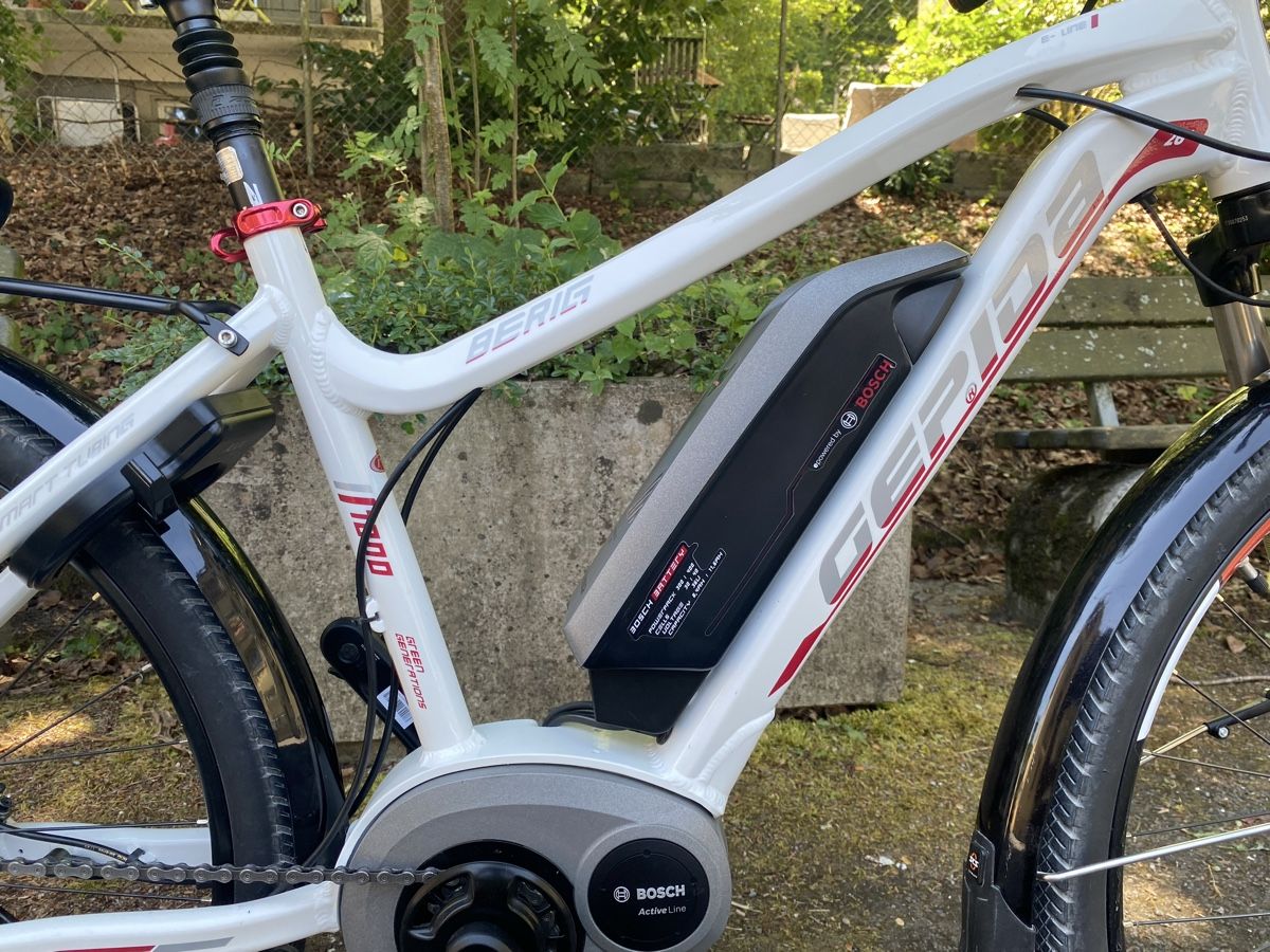 Bosch Biciclette: BOSCH Gepida Berig TOP ZUSTAND – Usato da Luzern venduto da Goodmorning_16 6