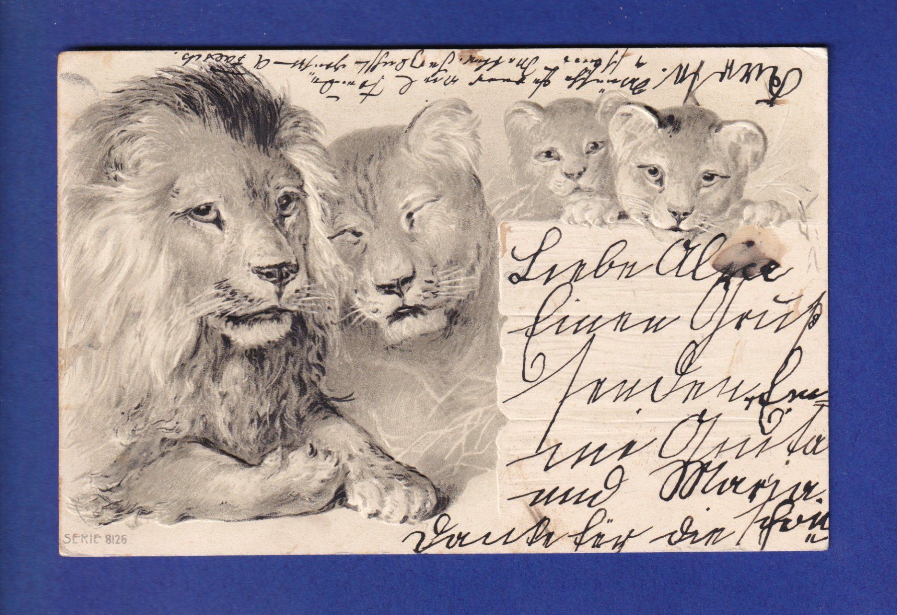 Cartoline postali: LIONS - Carrte gauffrée – Usato da Pully venduto da nicecards-shop
