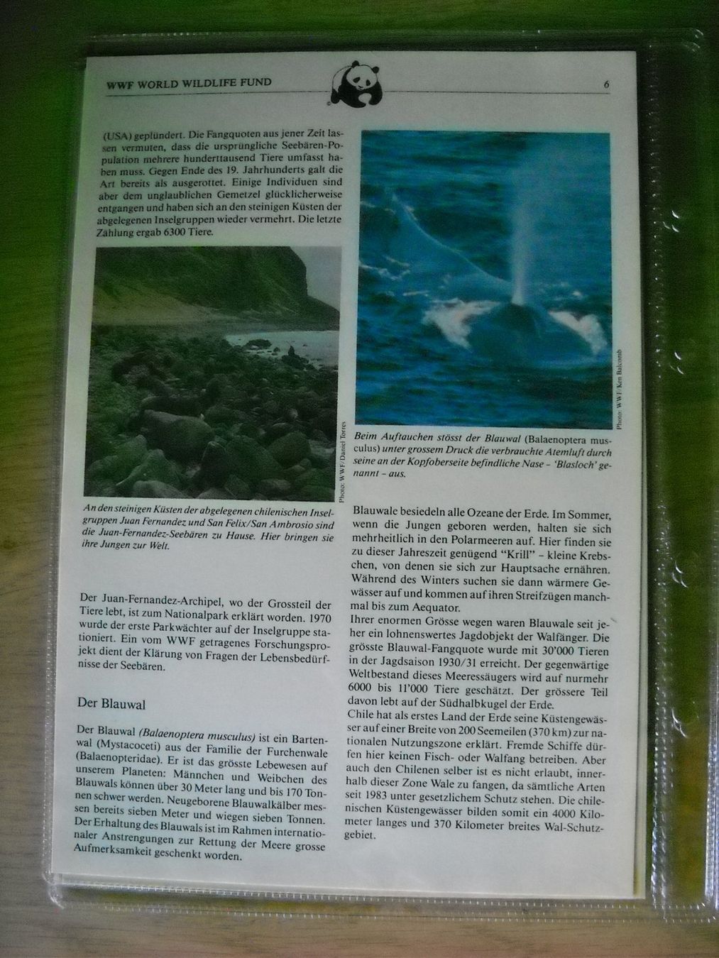 Tutti i francobolli: WWF Bedrohte Tierarten Chiles Dokument mit Briefmarken – Nuovo (secondo la descrizione) da Boningen venduto da FrediP 5
