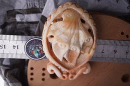 Jaspis  Blume   Amulett   Edel  –Edelsteinstube Rausverkauf