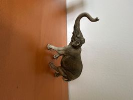 G.ARMANI?  ELEFANT