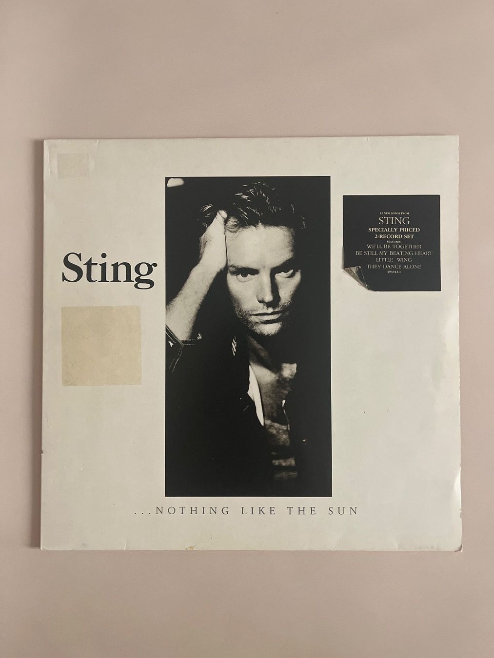 Schallplatten: Sting –  ...Nothing Like The Sun VG+/VG+ – Gebraucht aus Zürich von bkudrzycki