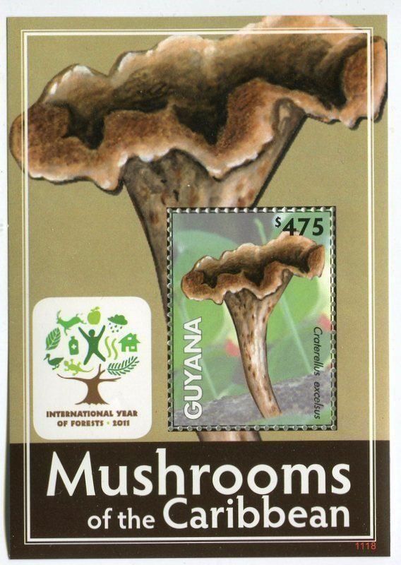Tous les timbres: Block "Pilze". Guyana. – Neuf avec emballage d'origine à Basel par Butsch5