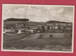 Niedermettlen  FR   :   alte Ansichtskarte um 1940