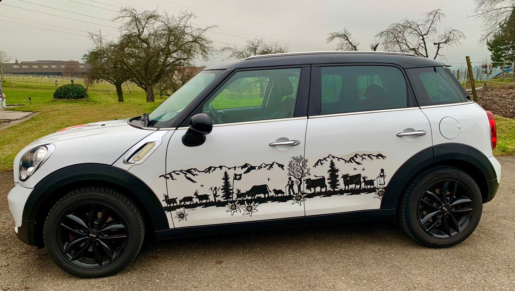 Mini Automobili: Mini Countryman – Usato da Grüt (Gossau ZH) venduto da knusperli02 1