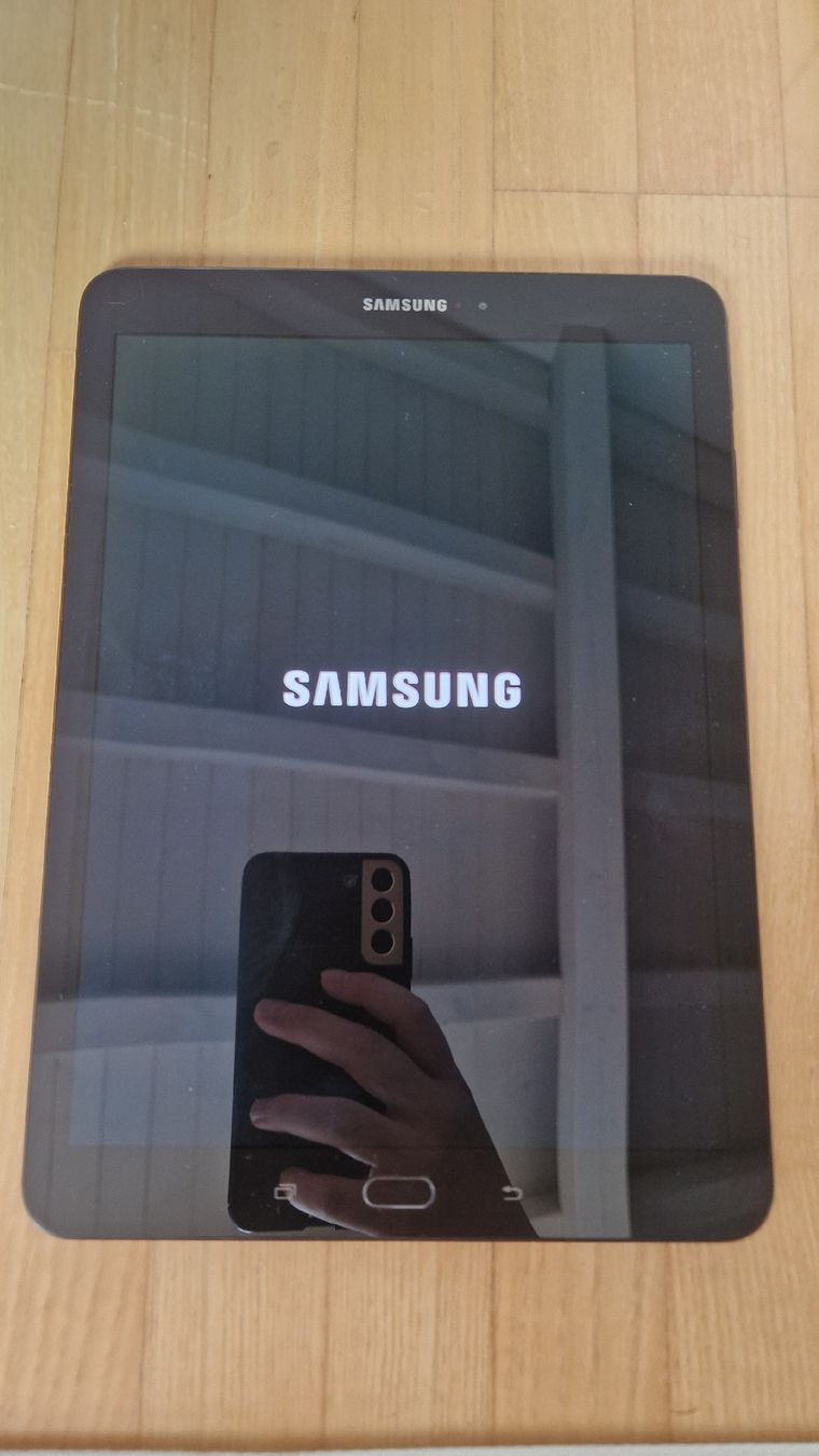 Samsung Tablet PC: Samsung Galaxy Tab S3 – Usato da Steinhausen venduto da Epifania91