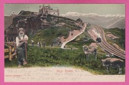 Rigi Kulm 1906 belebt mit Kühen und Bahn