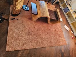 Hochflor Teppich braun guter Zustand 250x250cm