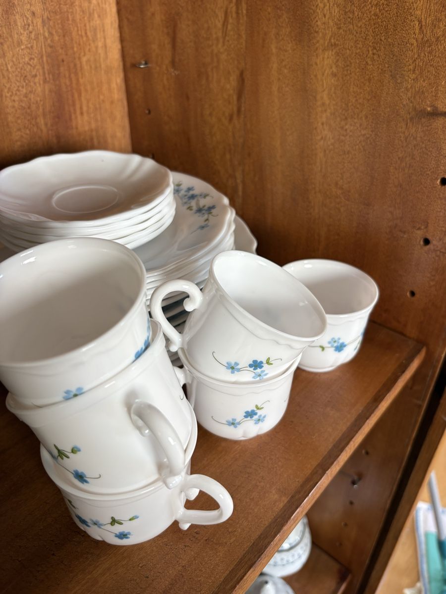 Set di piatti: Arcopal Geschirr Set Blumenmuster weiss gebraucht – Usato da Chur venduto da Weltanschau 2