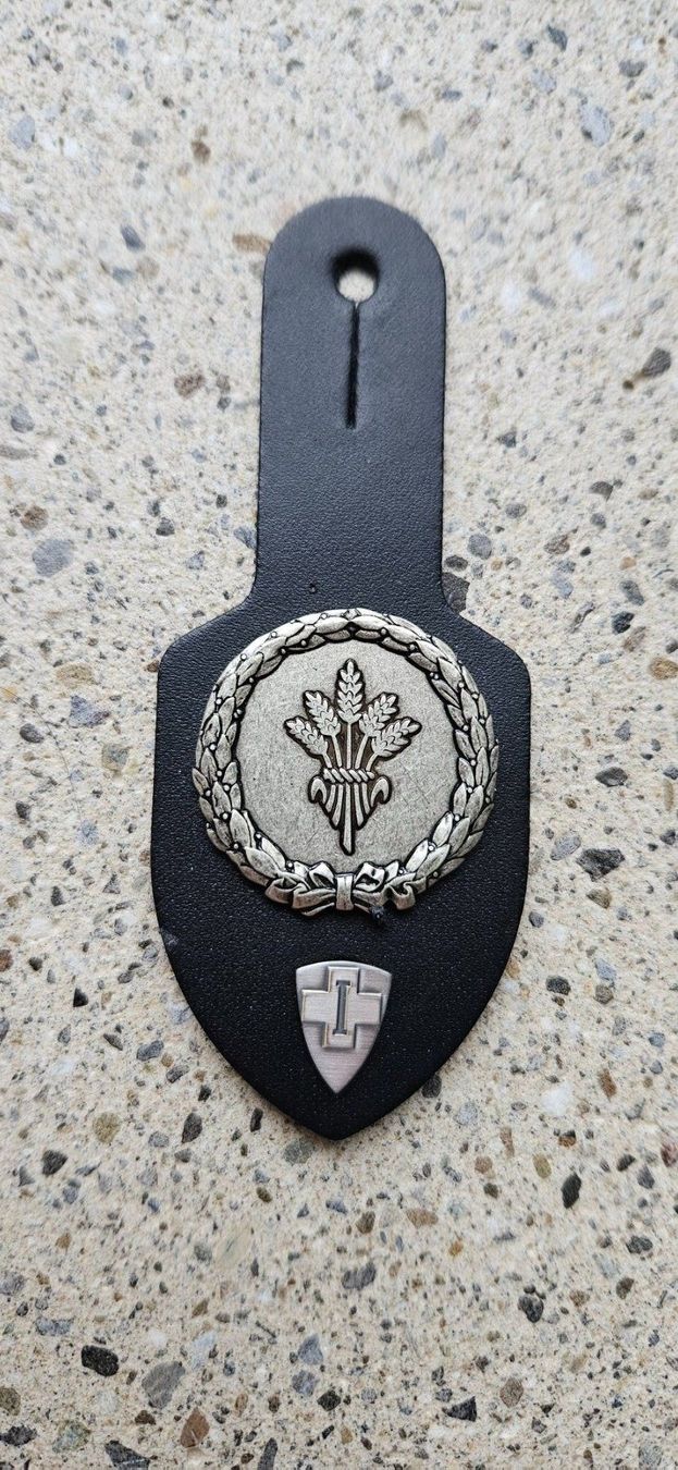 Schweizer Armee Placchette & Badge: *** Brustanhänger mit Spez. Abzeichen *** – Usato da Riedholz venduto da fr_sIruP