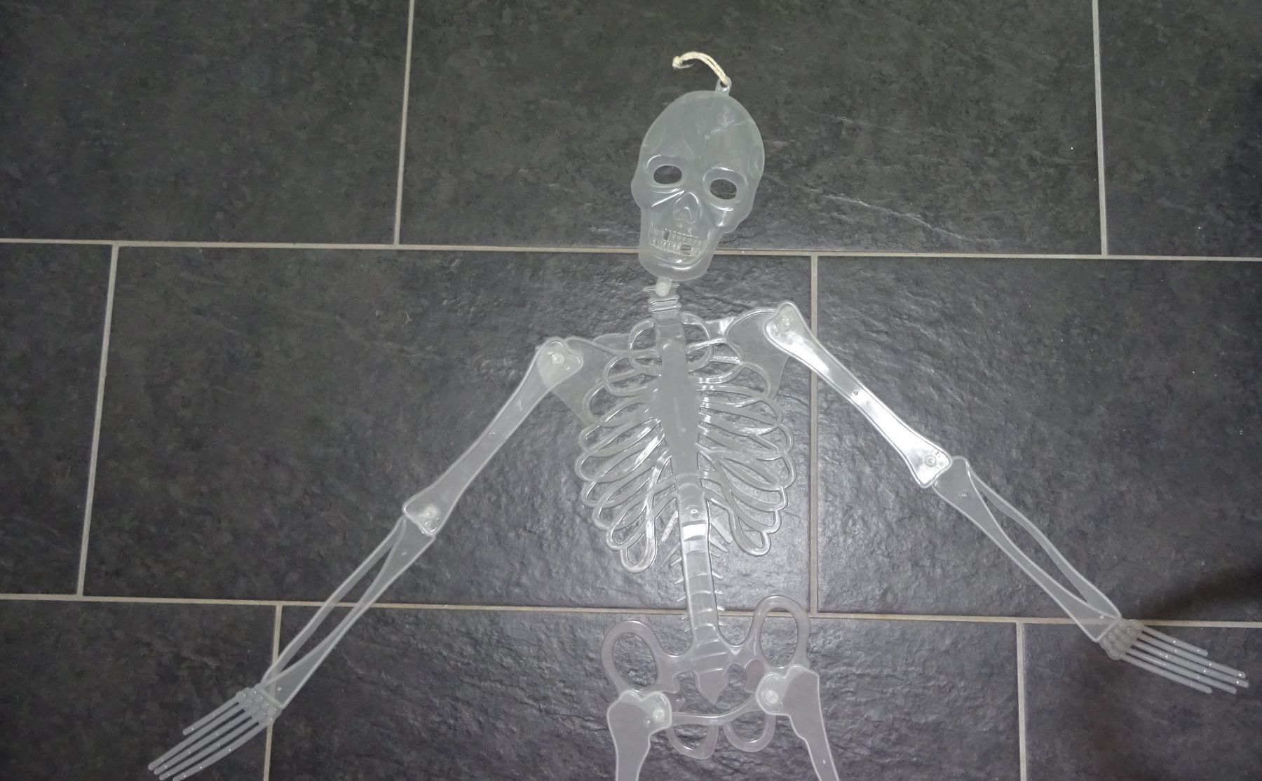 Alle Dekorationen: Skellett zur Deko – Gebraucht aus Wagenhausen von Svema 1