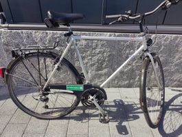 Allegro Herrenvelo