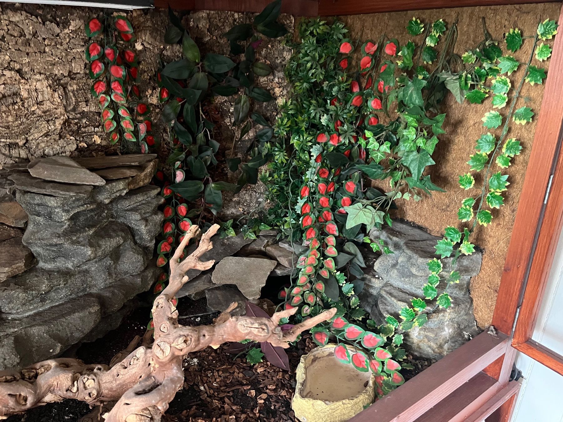 Terrario: Terrarium – Usato da Limpach venduto da Fscostar 4