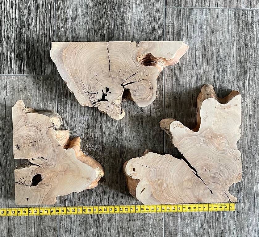 Articoli in legno: Bundle diverses Olivenholz für Epoxid – Nuovo (secondo la descrizione) da Chur venduto da Celectra 2
