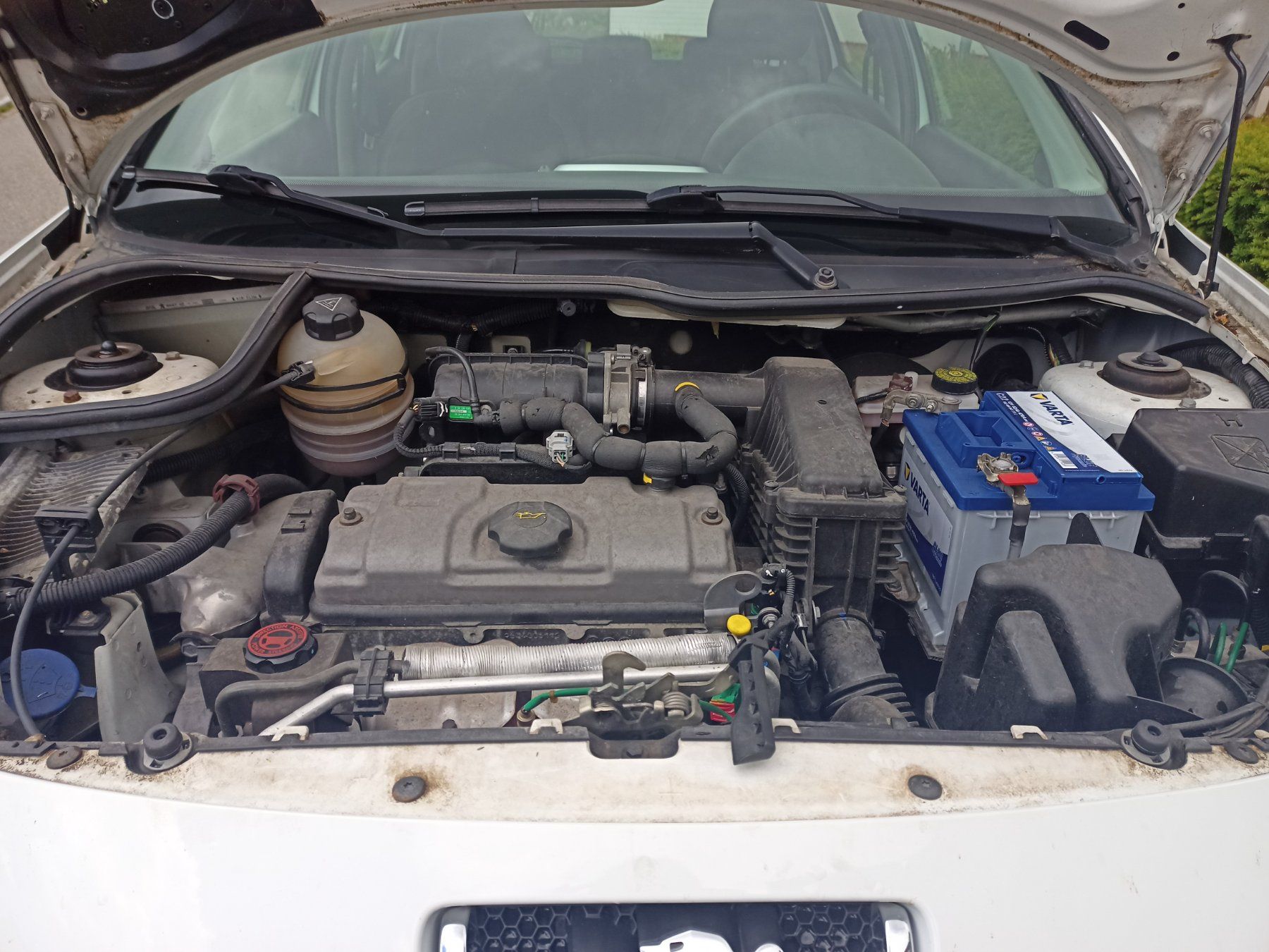 Peugeot Automobili: Peugeot 206+ 1.4i Trendy – Usato da Mettmenstetten venduto da 7three 6