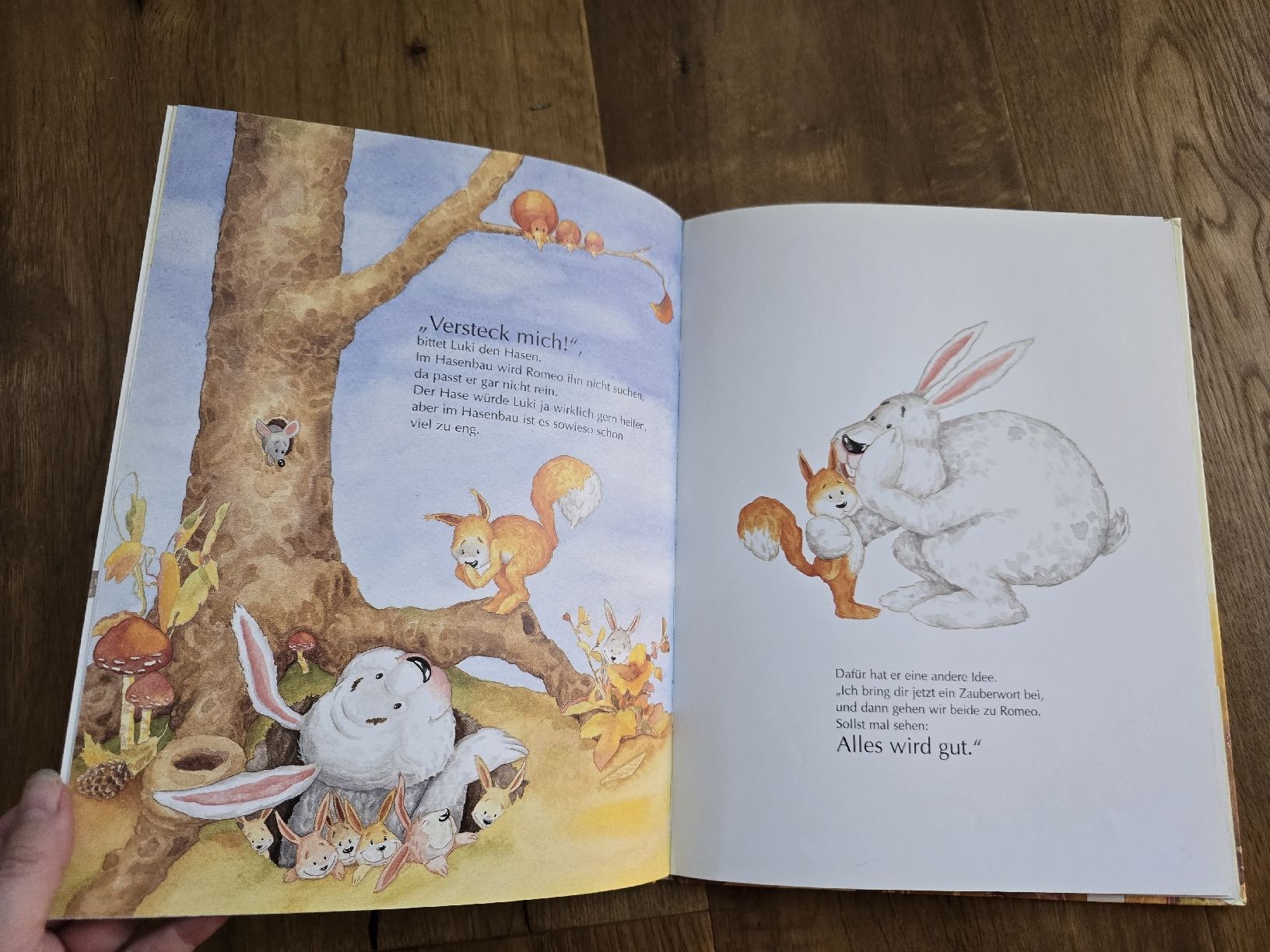 Libri: Kinderbuch "Probier's mal mit Entschuldigung!" neuwertig – Usato da Wittenbach venduto da Tigerlili 4