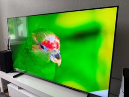 SAMSUNG QE65Q60CAU TV 65 Zoll UHD 4K guter Zustand