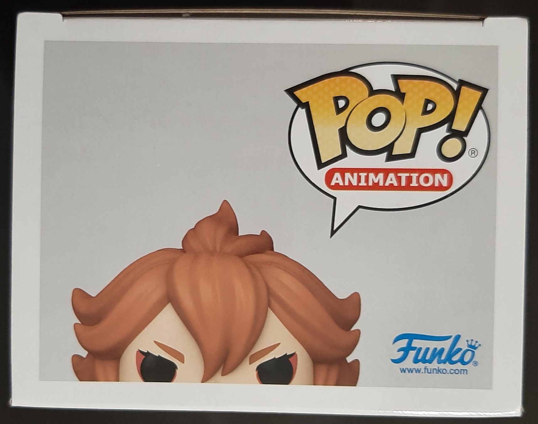 Funko Statuette: Funko Pop Black Cover  Mereoleona GITD – Nuovo e nell'imballaggio originale da Montet (Glâne) venduto da KOADA 4
