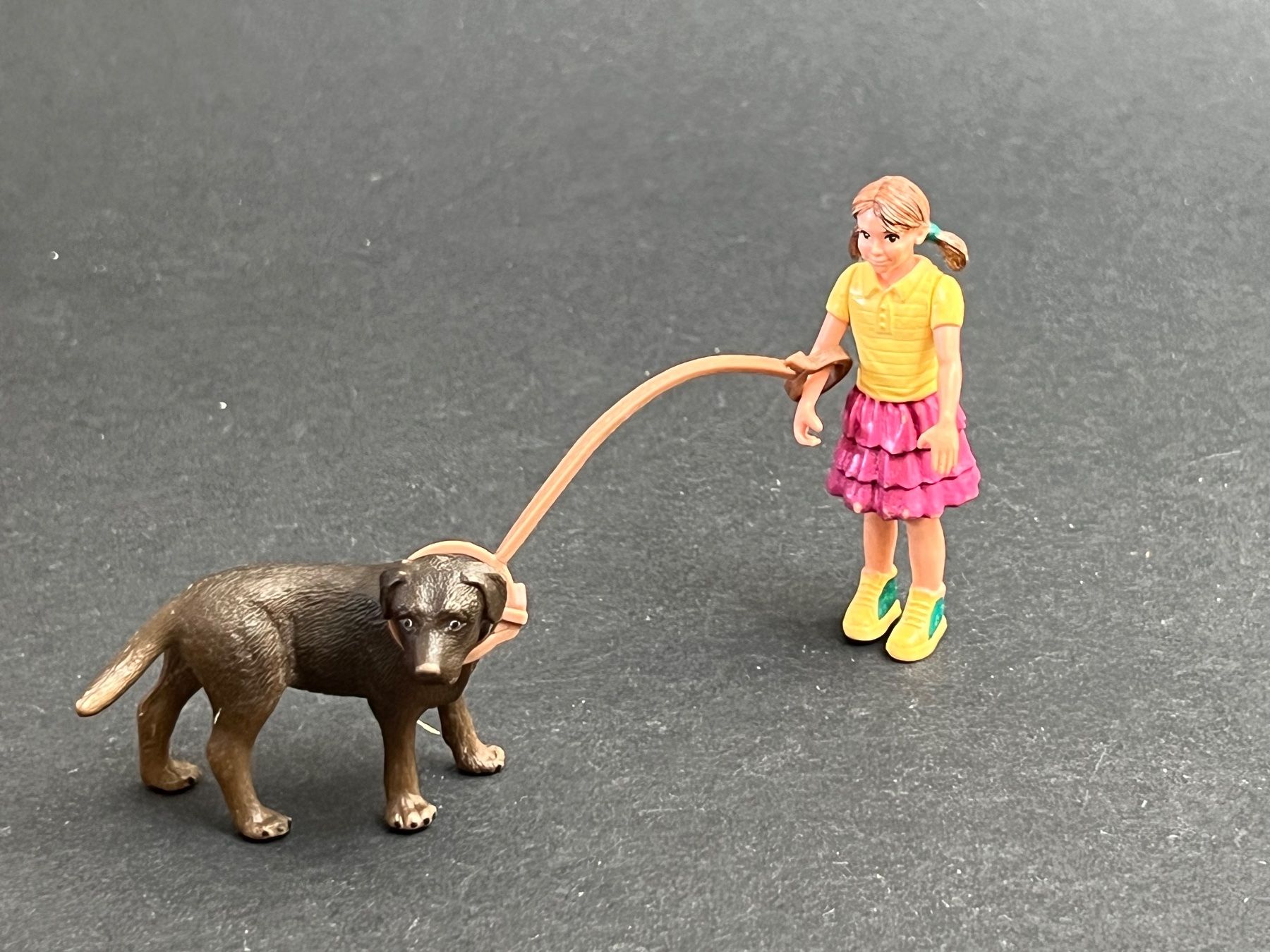 Schleich Figuren: Schleich Hund Hunde Zubehör – Gebraucht aus Ennetbaden von mapa05 4