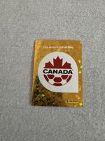 CAN 1, Panini