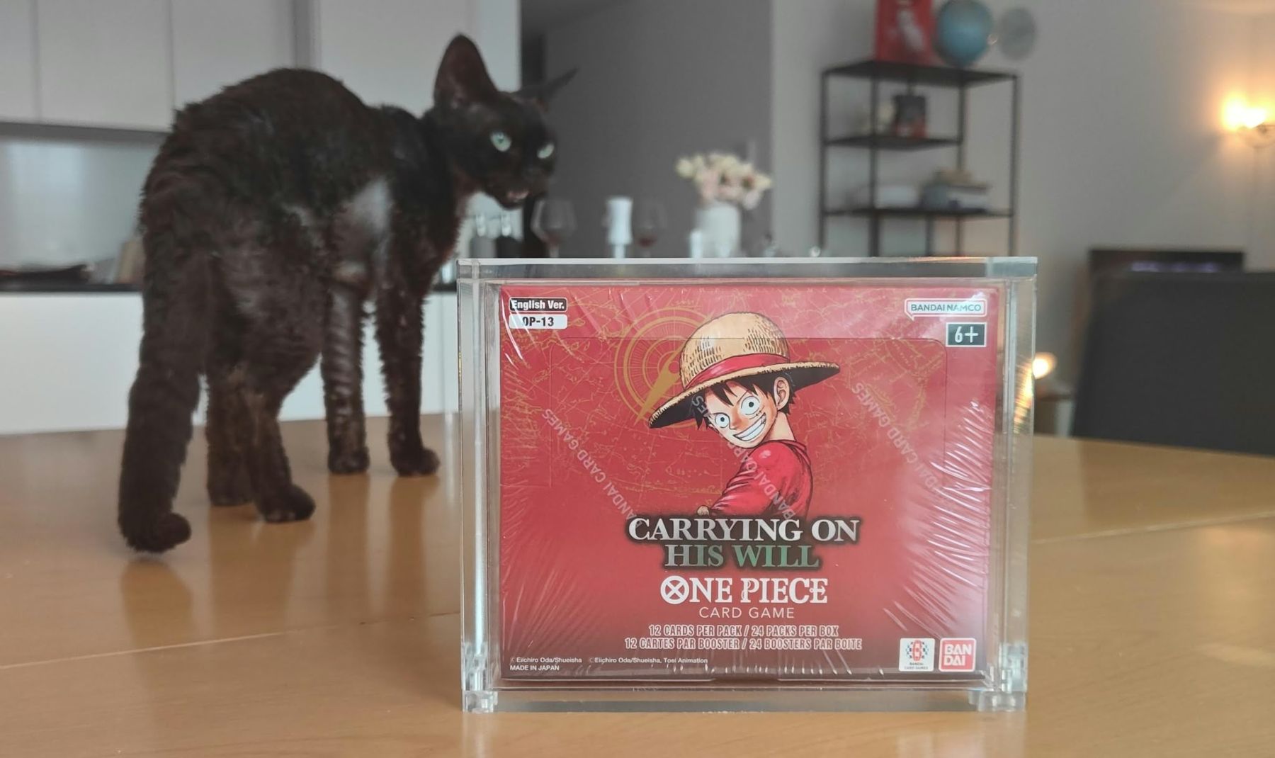 Bandai Carte collezionabili: OP13 EN inkl. Schutzbox – Nuovo e nell'imballaggio originale da Niederuzwil venduto da Alkure